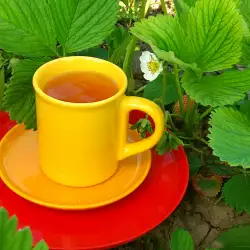 Чай от ягодови листа