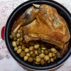 Агнешка Плешка