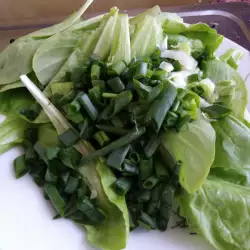 Зелена салата с маруля