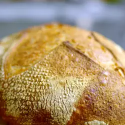 Селски хляб с мая и хрупкава коричка