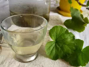 Отвара от мушкато при настинка
