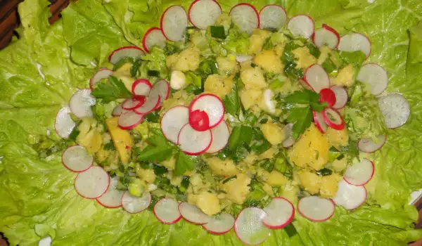 Картофи със зелена салата и репички