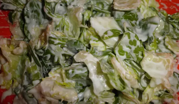 Смесена зелена салата с кисело мляко и синьо сирене